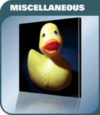 CNPG_Store_CollectionMain/CollectAdBox06.gif