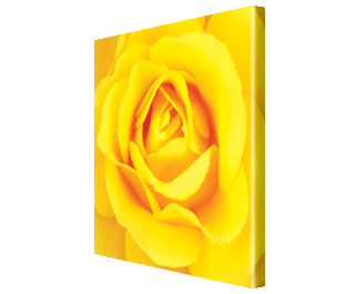 CLICK HERE TO VIEW PRODUCT INFORMATION