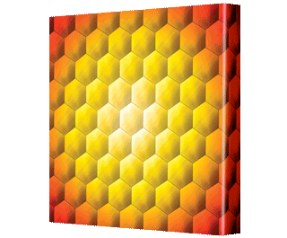 CNPG_Store_GEOMETIRC/Hex04a_Squ_320x265.gif