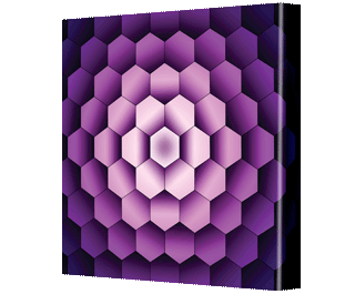 CNPG_Store_GEOMETIRC/Hex05a_Squ_320x265.gif