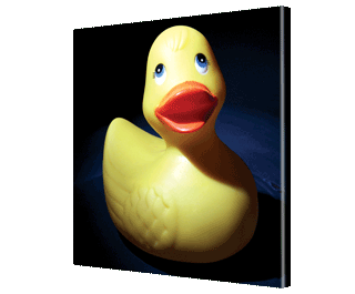 CLICK HERE TO VIEW PRODUCT INFORMATION
