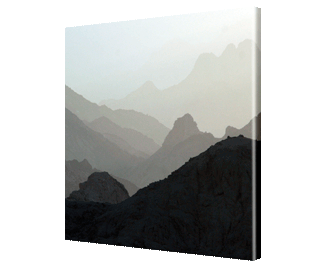 CLICK HERE TO VIEW PRODUCT INFORMATION