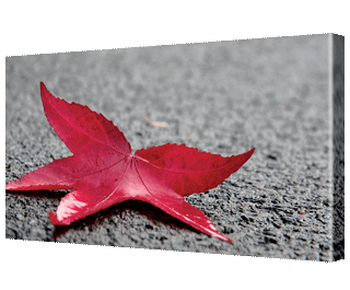 CLICK HERE TO VIEW PRODUCT INFORMATION