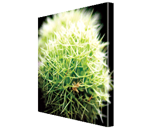 CLICK HERE TO VIEW PRODUCT INFORMATION