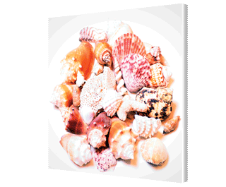 CLICK HERE TO VIEW PRODUCT INFORMATION