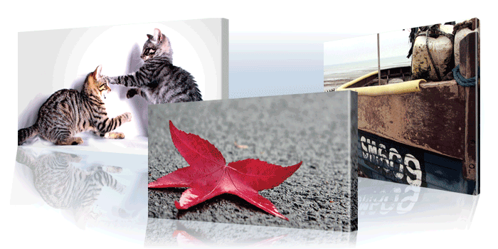 LAERN MORE ABOUT WHAT SERVICES WE OFFER